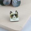 Grumpy cat pross